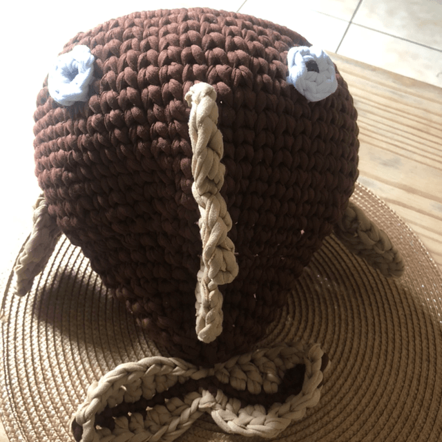Igloo poisson 